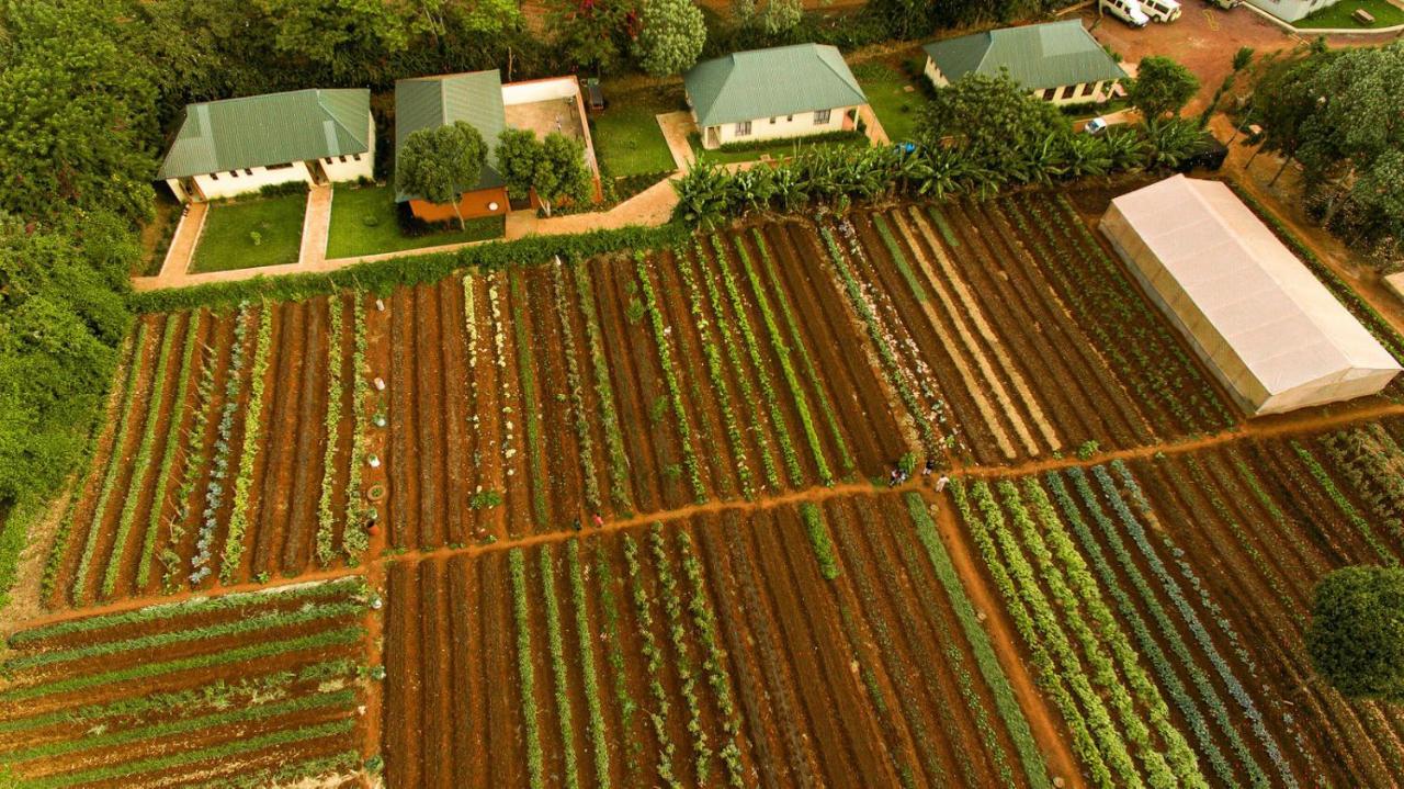 Acacia Farm Lodge Ngorongoro Exterior foto